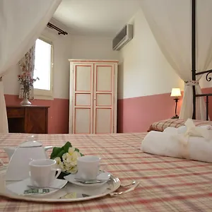 Catarin Comfort Castelluzzo